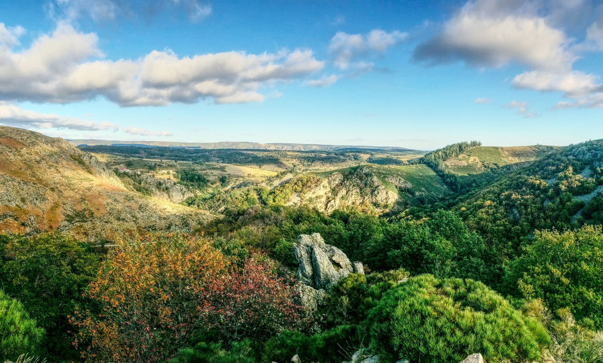 mat-laurent-KMnHgjmh0Eg-unsplash